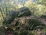IMG_20241007_170433960_MFNR