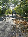IMG_1088