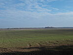 Panoráma