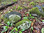 IMG_20241006_145309
