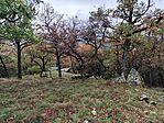 IMG_20241006_150353