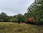 IMG_20241006_150809