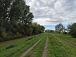 IMG_20241008_090659