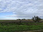 IMG_20241008_090707
