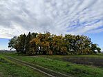 IMG_20241008_091125