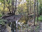 IMG_20241008_165322