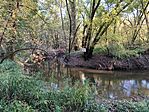 IMG_20241008_165816