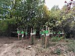 IMG_20241010_121314