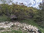 IMG_20241010_115932
