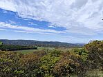 IMG_20241010_115852