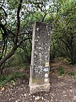 IMG_20241010_114458
