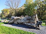 IMG_20241022_135936