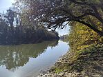 IMG_20241022_131705