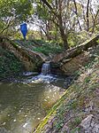 IMG_20241001_135002