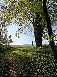 IMG_20241023_111323
