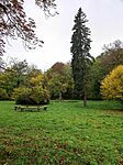 IMG_20241025_092754