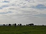 IMG_20241025_113115