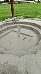 IMG_20241015_140124