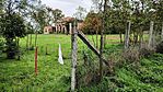 IMG_20241015_130112