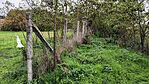 IMG_20241015_130116