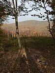 IMG_20241026_104800074