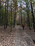 IMG_20241026_105007428