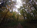 IMG_20241026_125832168