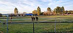 IMG_20241020_171231
