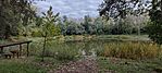 IMG_20241008_132047