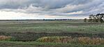IMG_20241009_155747