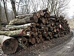 IMG_20200220_130341