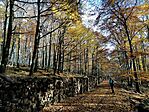 IMG_20201103_133902