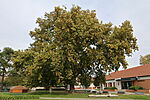 1Q2A5156