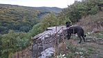 kilátás