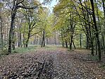 IMG_2675
