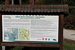 IMG_20241019_105103_4349