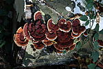 IMG_20241019_110548_4356