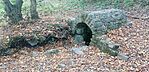 IMG_20241019_121925