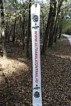 IMG_20241019_134344_4383