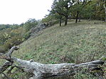 P1050200