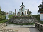 P1050310