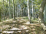 P1050535