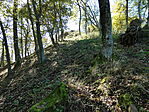 P1050579