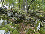 P1050652