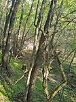 IMG_20241012_153605