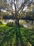 IMG_20241012_155654