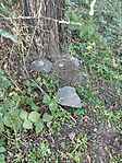 IMG_20241012_160420