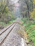 IMG_20241026_145240
