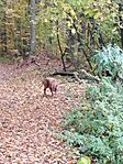 IMG_20241026_145130