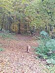 IMG_20241026_145002